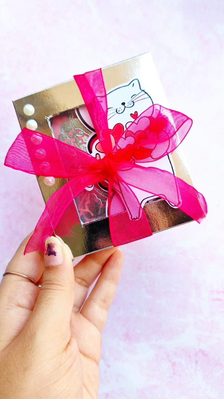 Cat Theme Mini Album