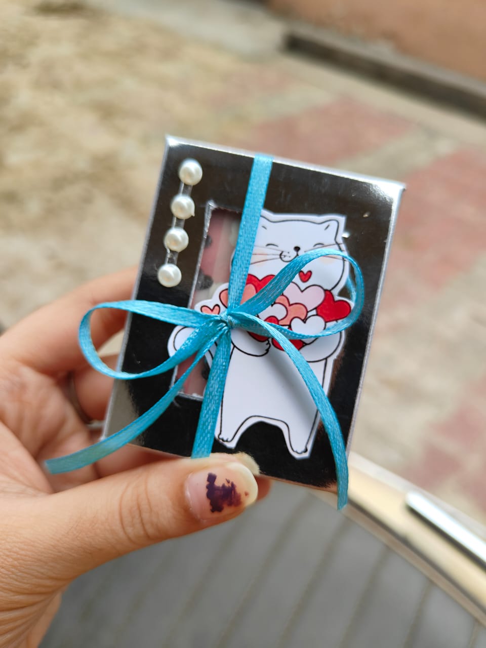 Cat Theme Mini Album
